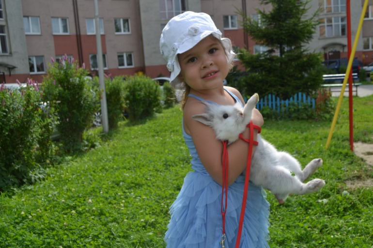 61a20906af7c1c42e59c8395a9e40bba.jpg