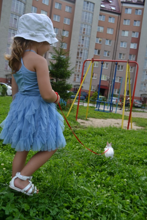 a5d1b78803139ed7709c4eca7d679368.jpg