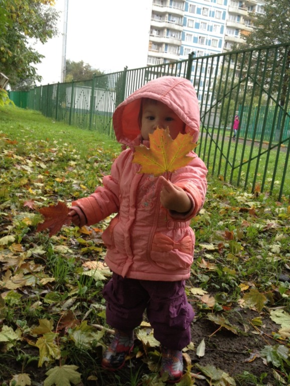 Осенние прогулки под дождем