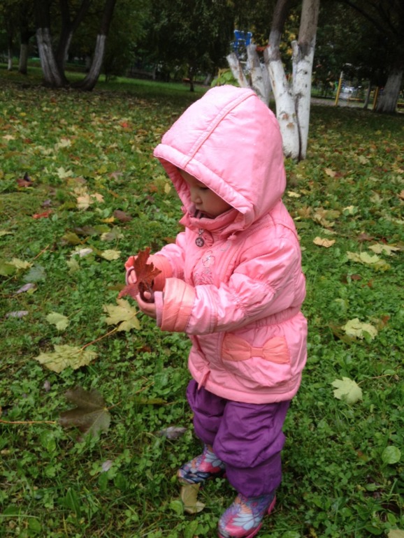 Осенние прогулки под дождем