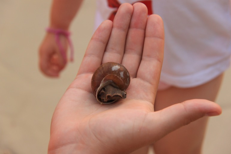 Незабываемая Доминикана (часть 1)