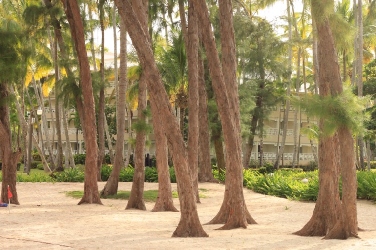 Незабываемая Доминикана (часть 1)