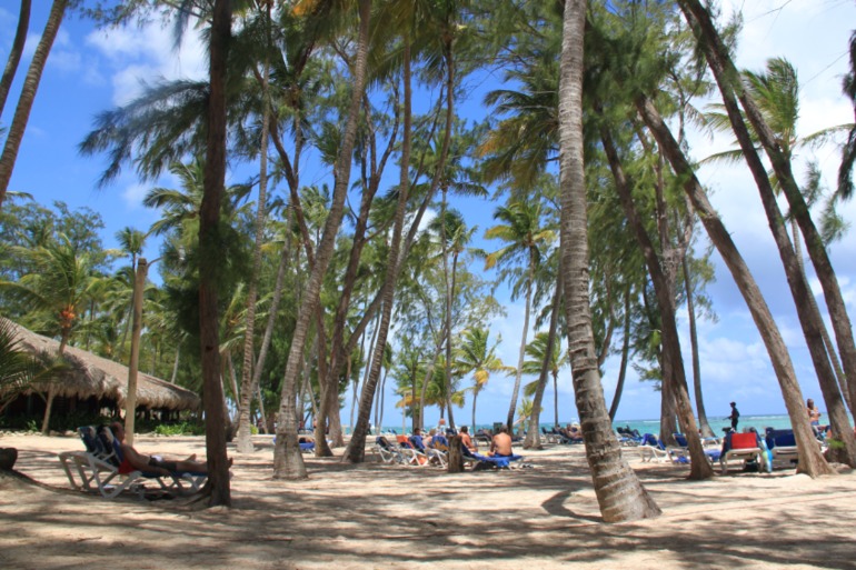 Незабываемая Доминикана (часть 1)