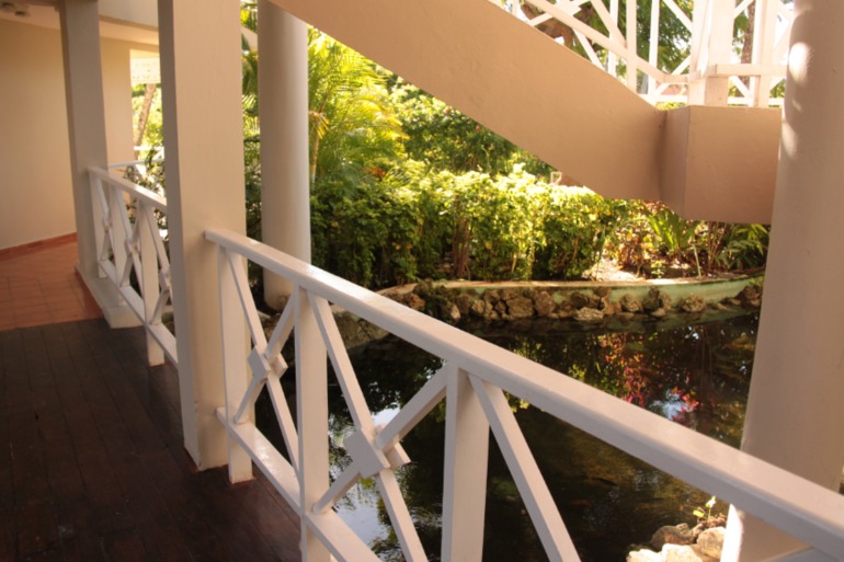 Незабываемая Доминикана (часть 1)