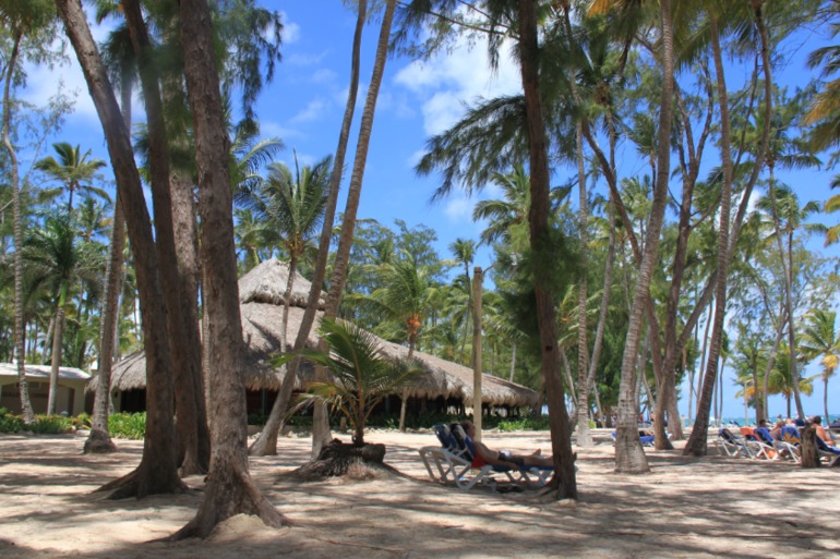 Незабываемая Доминикана (часть 1)