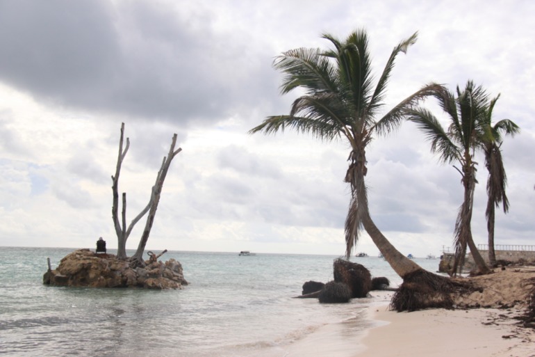 Незабываемая Доминикана (часть 1)