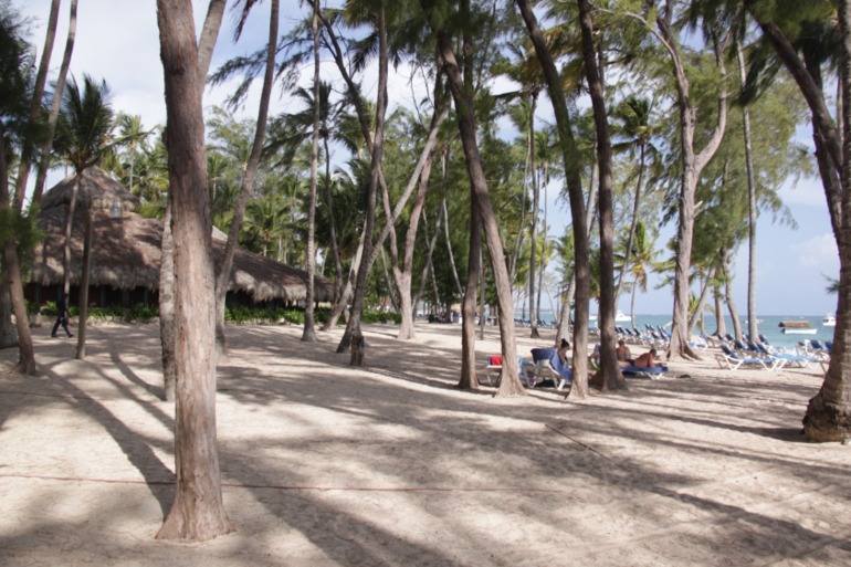 Незабываемая Доминикана (часть 1)