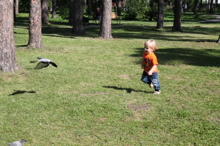 Год и 8 месяцев...