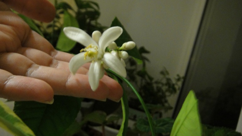 Меня окружает мой рай...