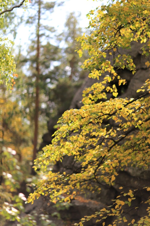 Наш поход выходного дня