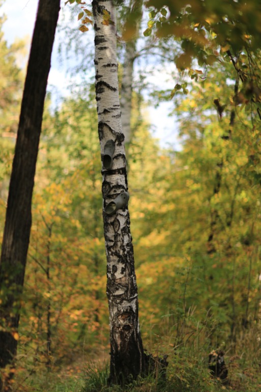 Наш поход выходного дня