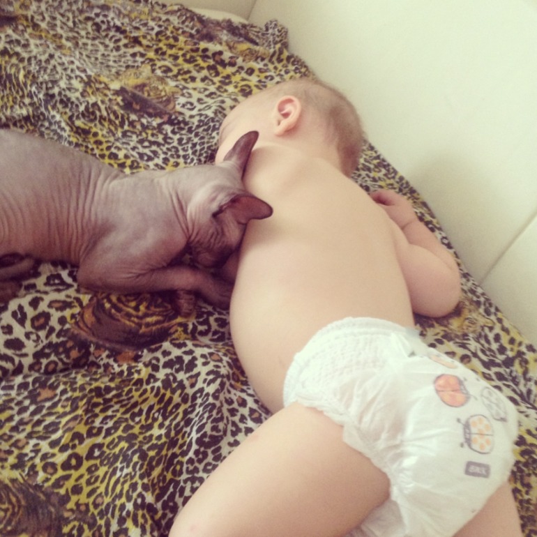 45a2a80e39bfae334ca19be37bdadcd6.jpg
