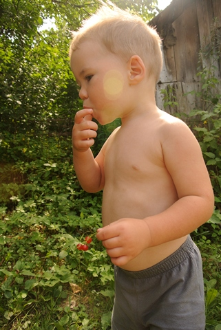 a094d722698e68fc1b88877d150c3a82.jpg