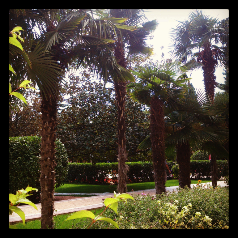 Наш опыт отдаха с ребенком 1г6м. Крым