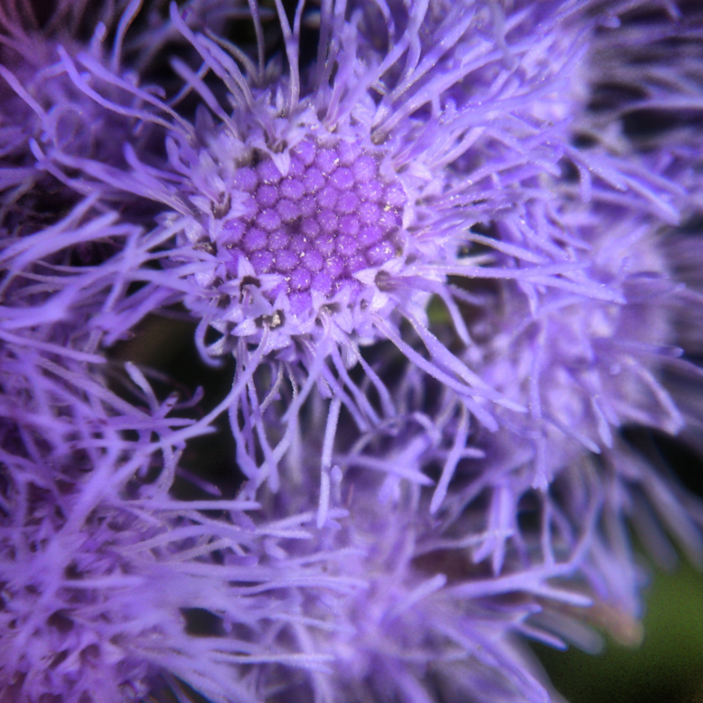 Наш опыт отдаха с ребенком 1г6м. Крым