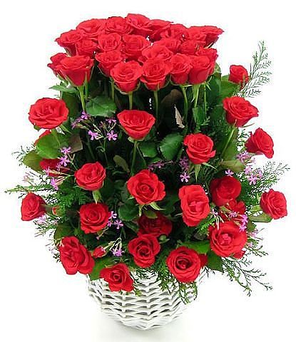 12c1037cb13fc89fc82d1861a74f99b4.jpg