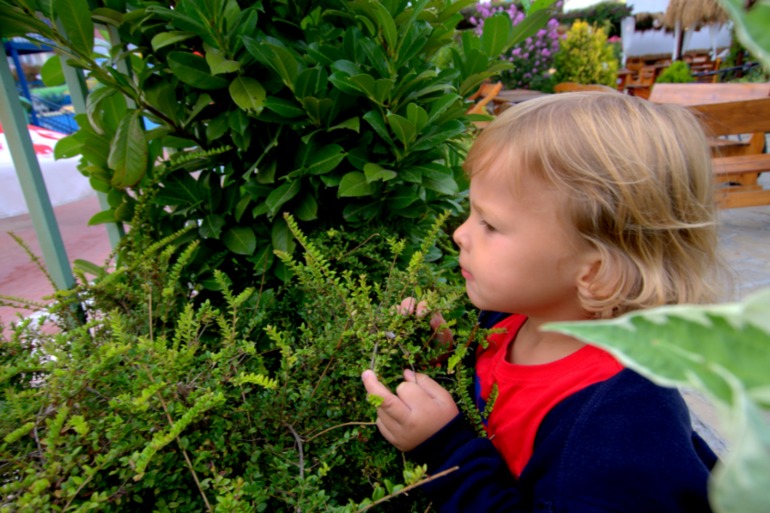 рубеж в 3 года