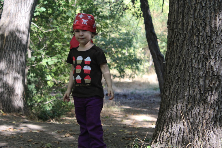 Пиратсий пикник