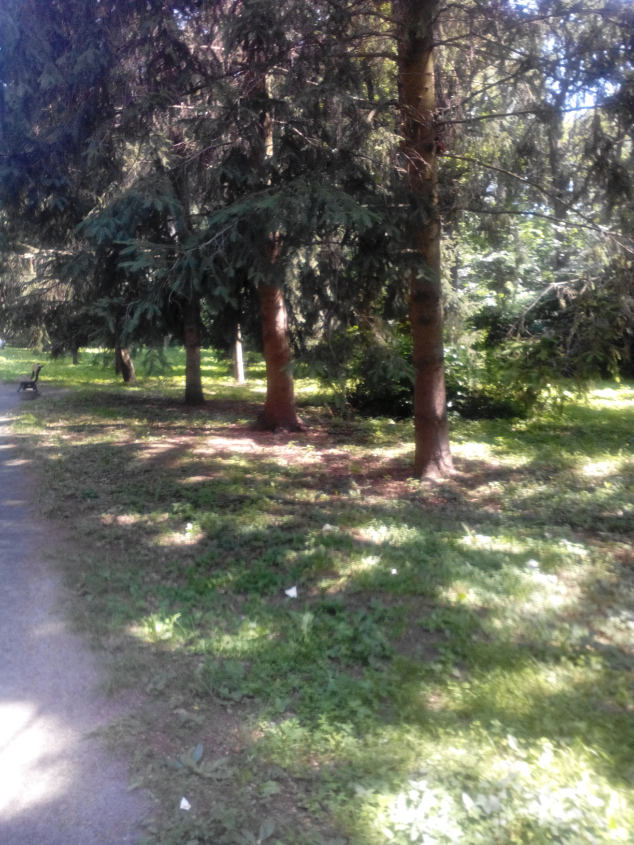 Прогулка в Александрии