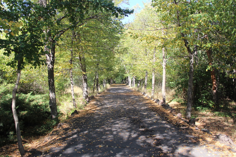 Пиратсий пикник