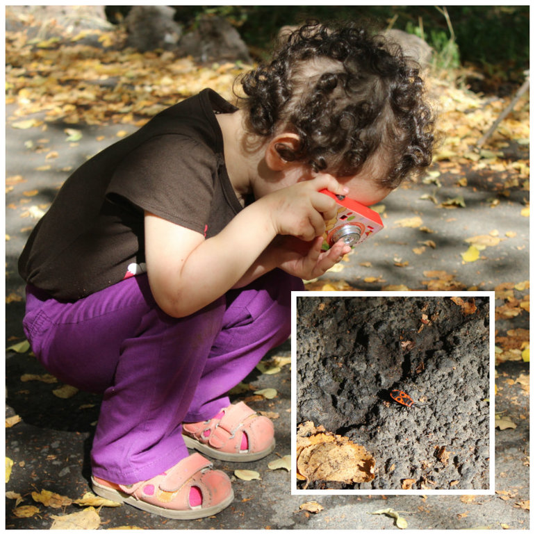 Пиратсий пикник