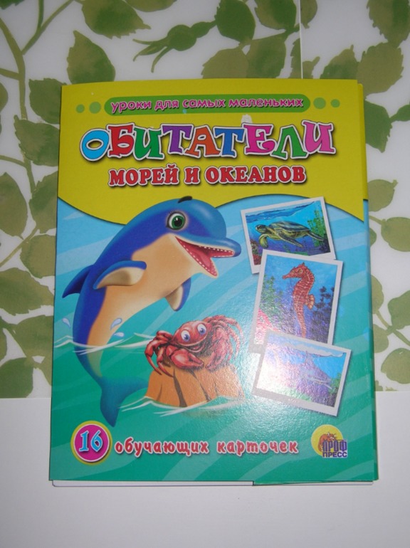 ef9ee0faf69cc279c9812b3afd47093a.jpg