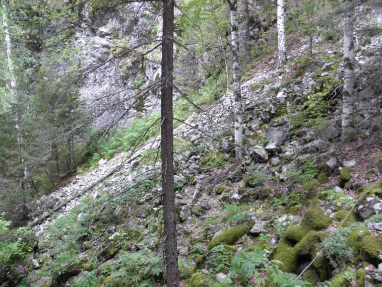 Чусовая, август 2013..