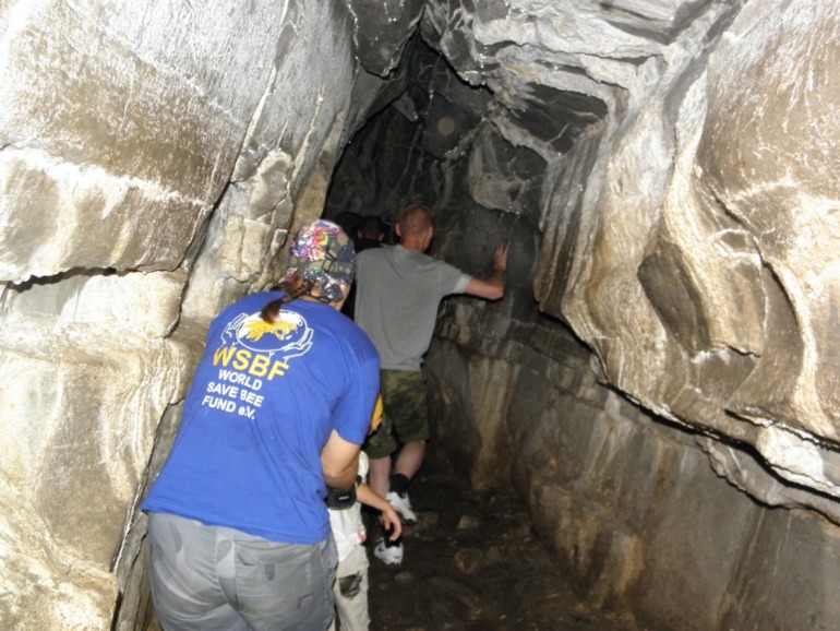 Чусовая, август 2013..