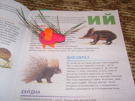 Творческий марафон