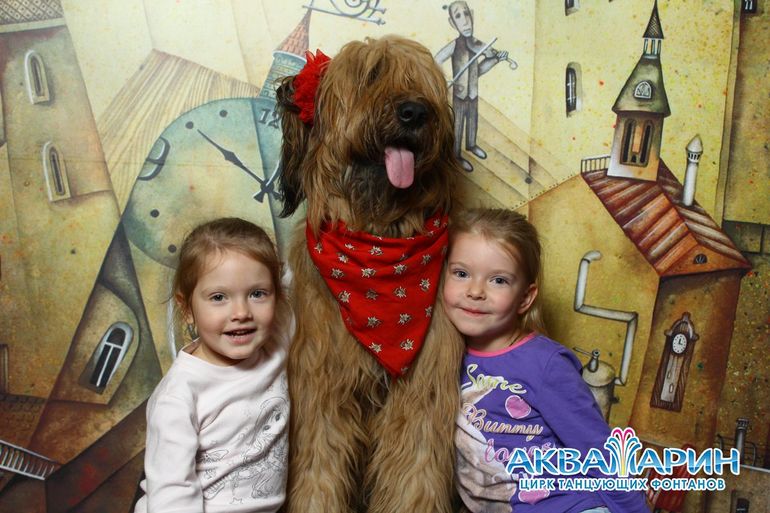 Побывали в цирке...