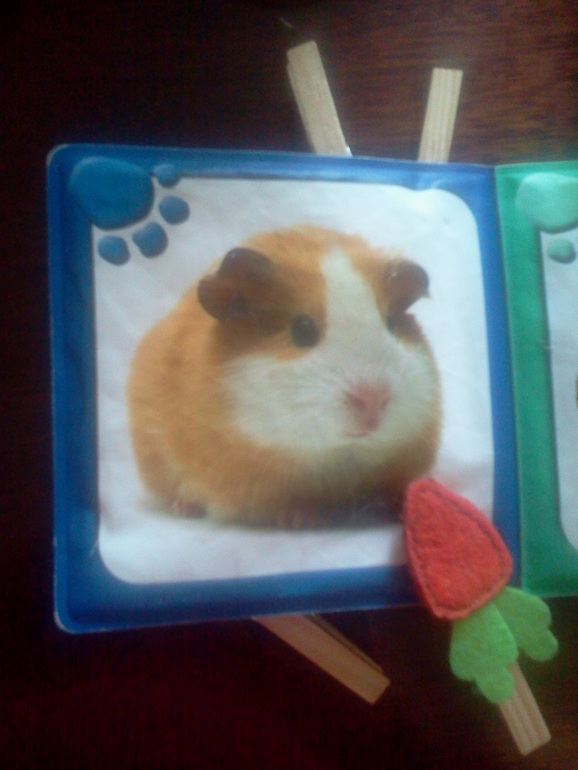 Игра с прищепками