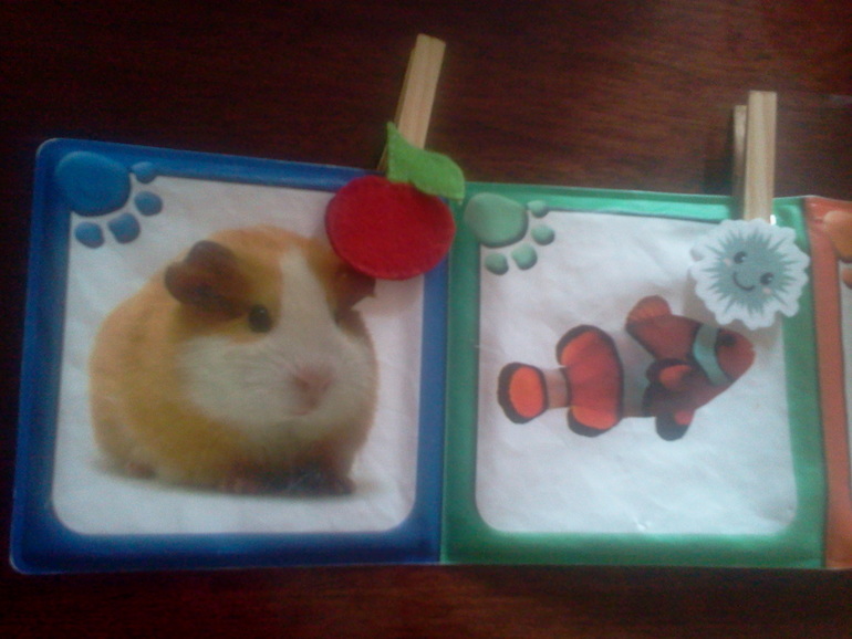 Игра с прищепками