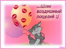 8b02c7b78181a60b5d112fea23e8fc33.jpg