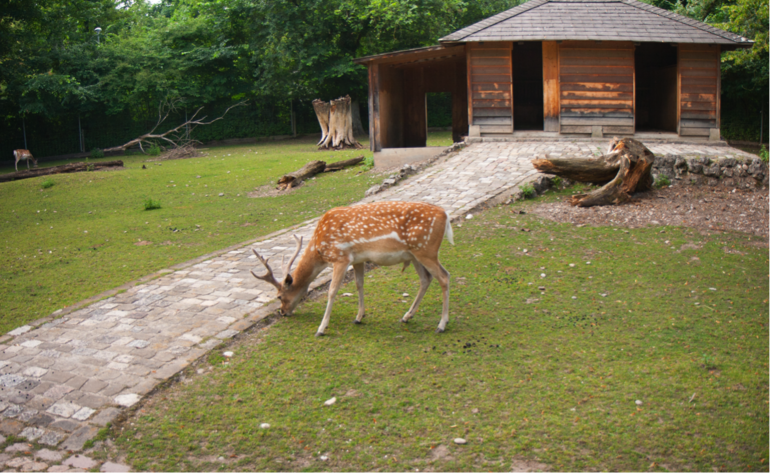 Платон оказался на коне
