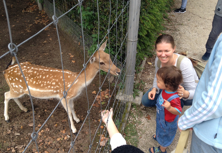 Платон оказался на коне