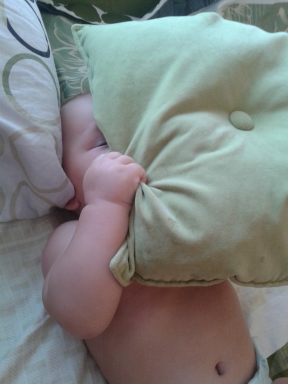 9f8e325ed498ed969d6cbb39acb347d1.jpg