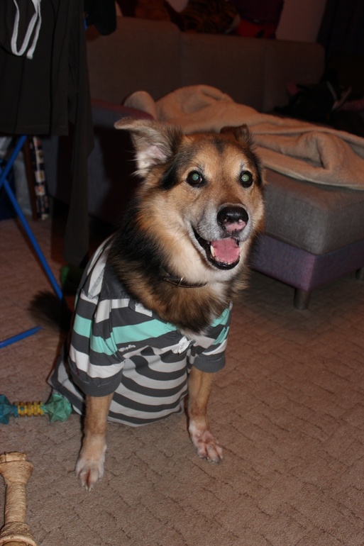 f02fc4418fac39619c6660dd4e4b759b.jpg