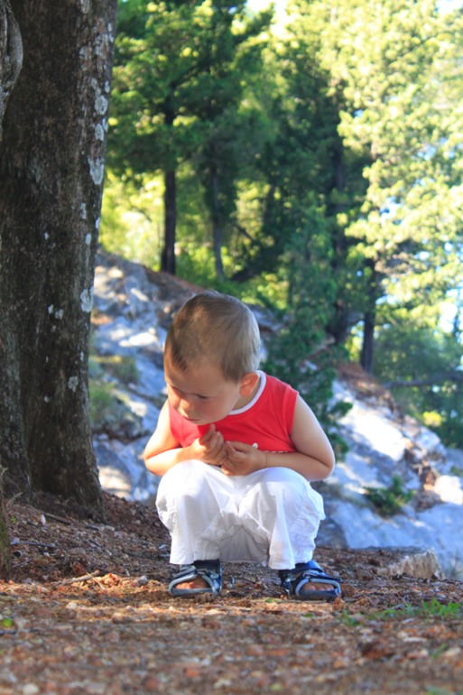 Черногория. Свети Стефан.