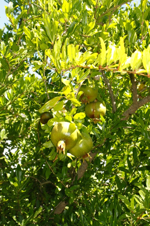32c1a10eab0538b34d0d2935975e7015.jpg