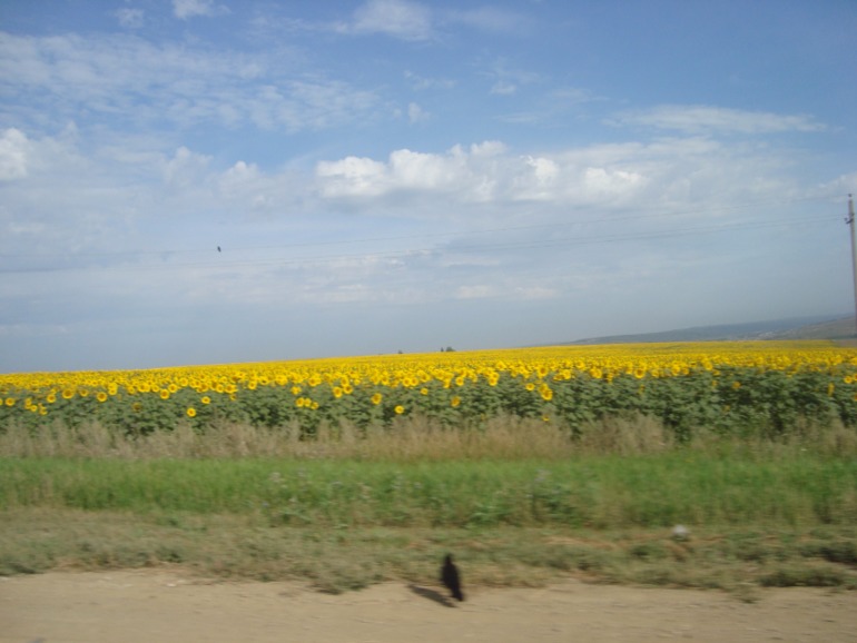 Как мы были на МОРЕ)))