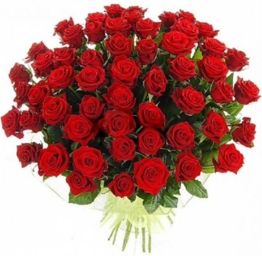 a4563d93dad68d4e4d32b1bd33ae2b9f.jpg