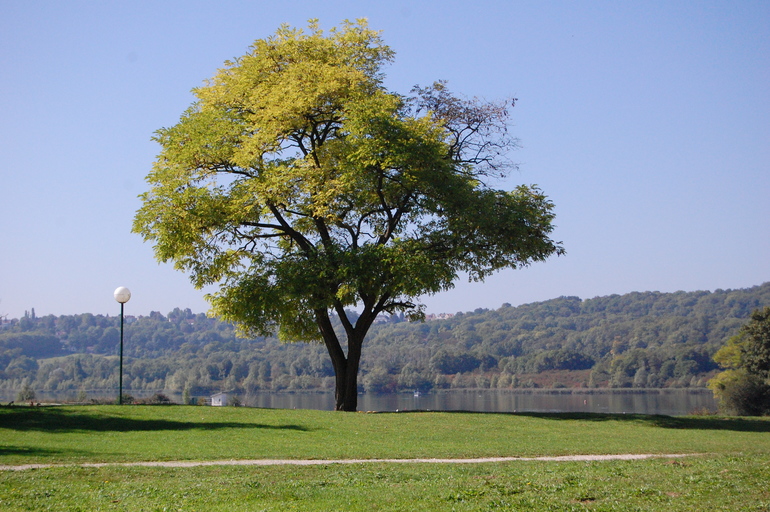 Приключения в Жаблин или как я пыталась достичь дзена с двумя погодками...