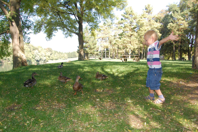 Приключения в Жаблин или как я пыталась достичь дзена с двумя погодками...