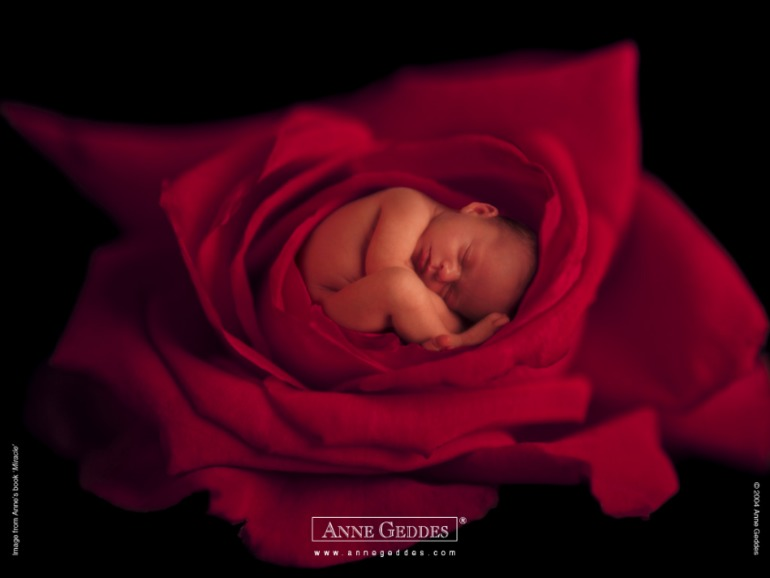 b63693547b5687d6ad84496ac8d2afb1.jpg