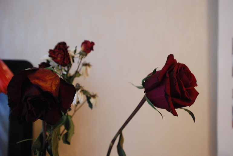 День рождения прошел, впечатления остались)