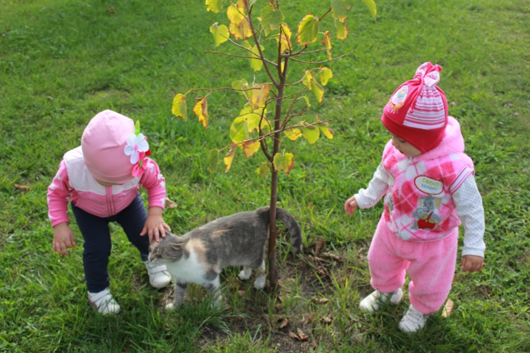 Красивая осень