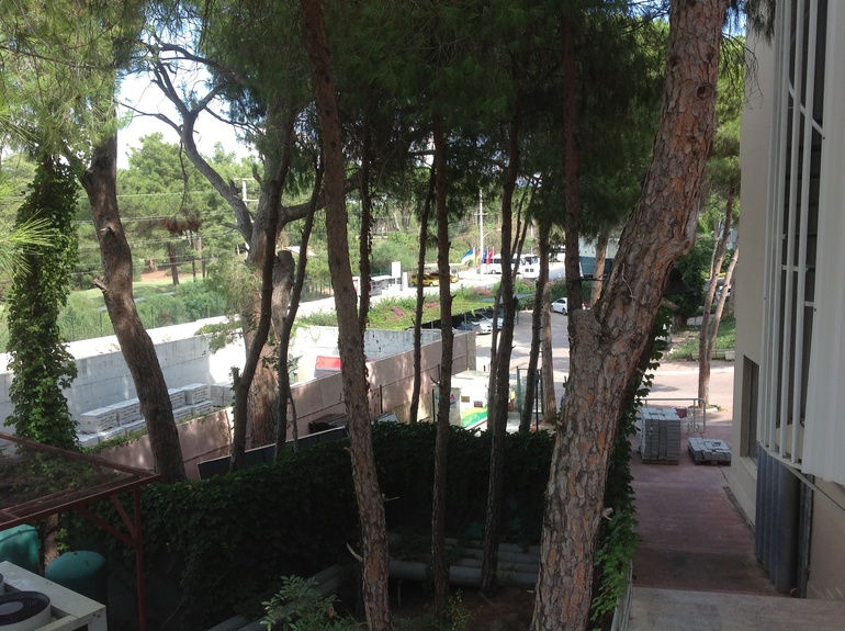 Про заселение и немного больше... Хвалёный Маритим!