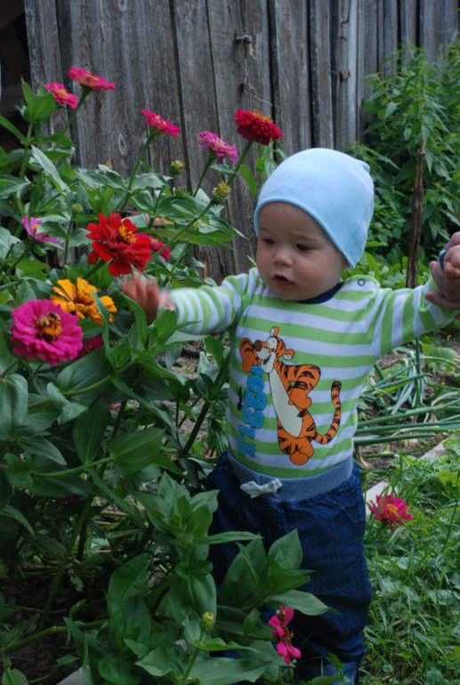 Наши прогулки