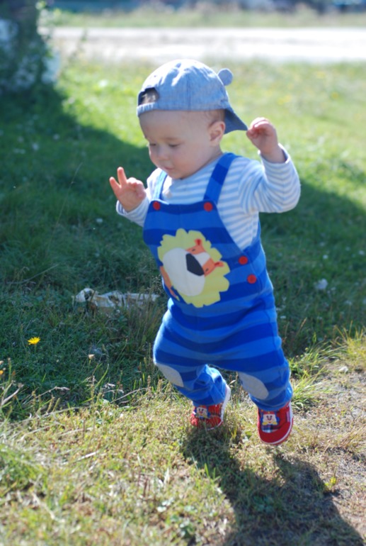 Наши прогулки