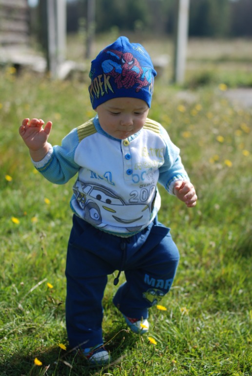 Наши прогулки